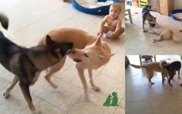 Как занять малыша и успеть сделать дела по дому