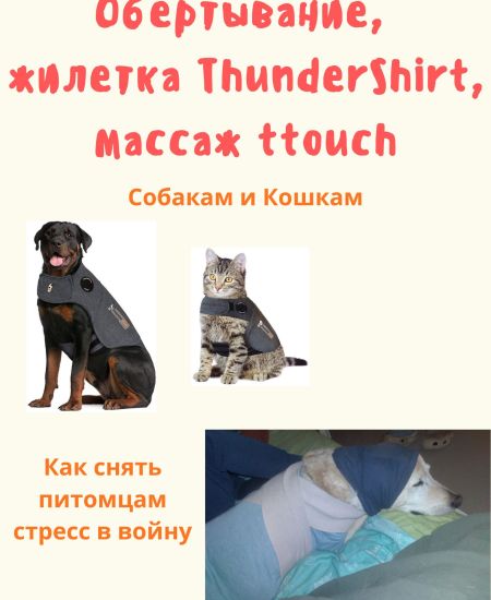Гайд «Как снять стресс животным в войну: обертывание, жилетка ThunderShirt, массаж ttouch»