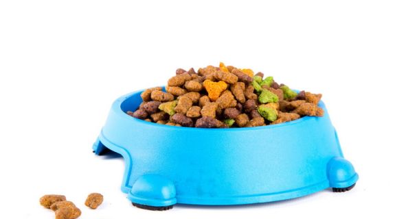 Сухой корм, состав, производство, мнения специалистов