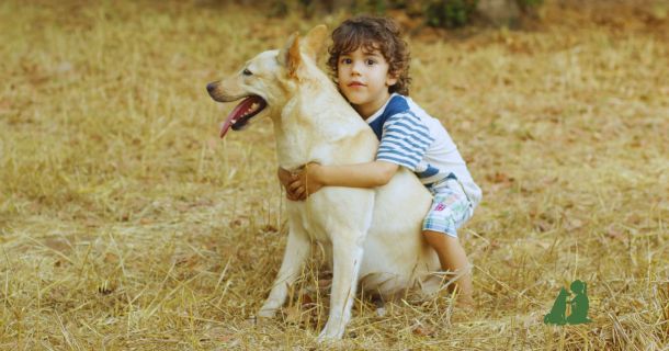 Как избежать укуса животного, часть 2: "обнимашки-целовашки"