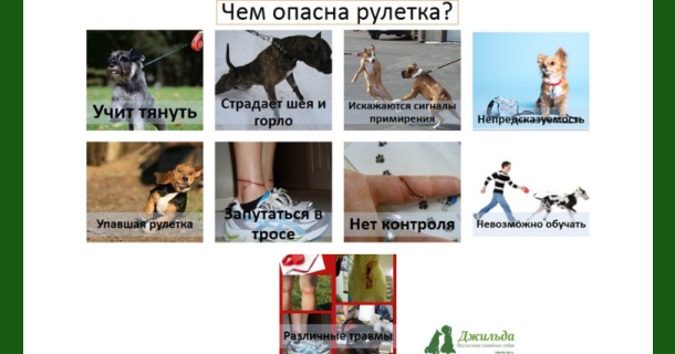 Поводок рулетка для собак: чем опасна?