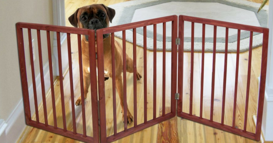 Правила поведения с чужой собакой: дети едут в гости. Часть 2