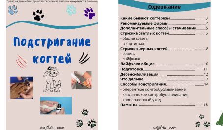 Гайд "Как подстричь собаке когти"