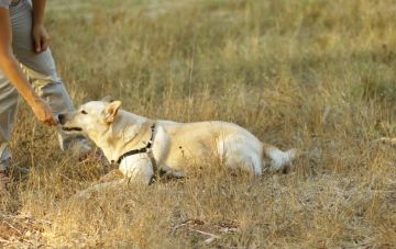 Как проходит занятие с инструктором?