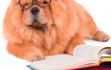 Конрад Лоренц - Человек находит друга