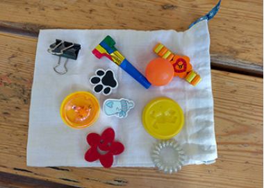 Канистерапия