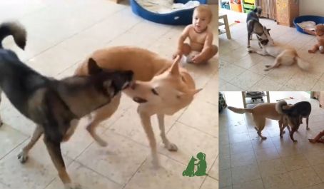 Как занять малыша и успеть сделать дела по дому