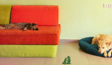 Как раскусить тренера