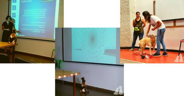 Лекции на курсе канистерапии - כלבנות טיפולית