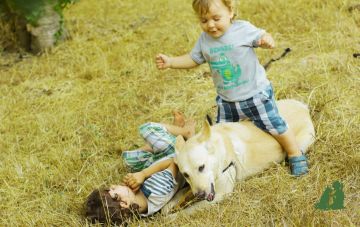 Как избежать укуса животного, часть 3: ты моя лошадка