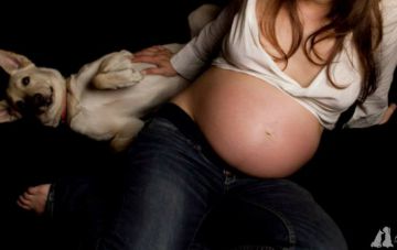 Новорожденный и собака: что можно сделать до рождения малыша