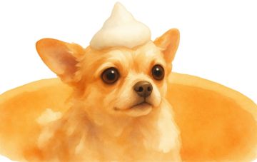 Лекция кинолога в Израиле: "Как приучить к неприятным процедурам"