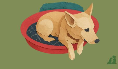 Учеба на канистерапевта в Израиле