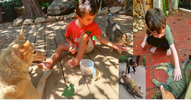 Ребенок боится собак, кошек