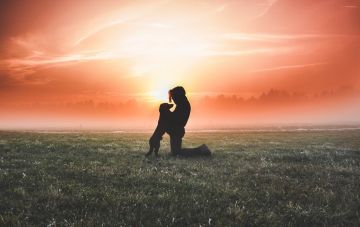 Кто должен дрессировать?