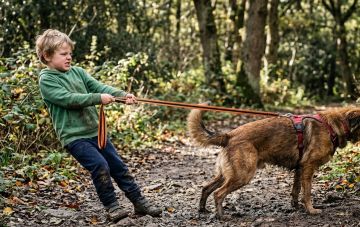 Ребенок мучает животных: чего НЕ надо делать?