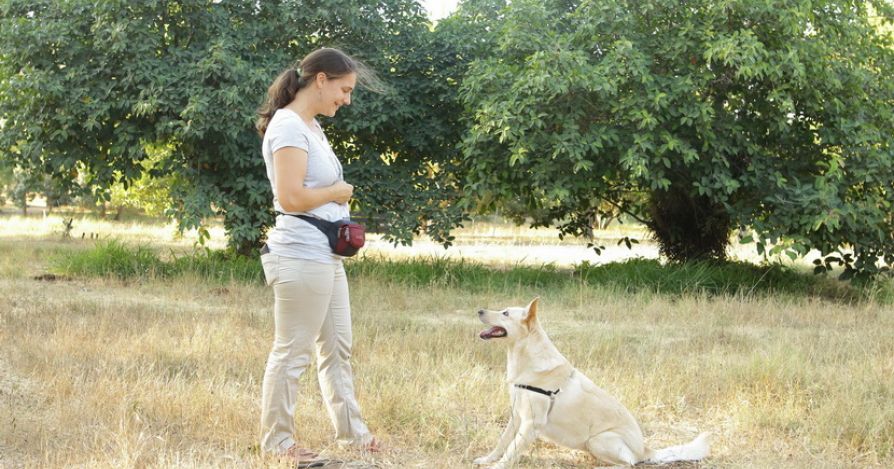 "Контакт глазами" или "Гляделки"