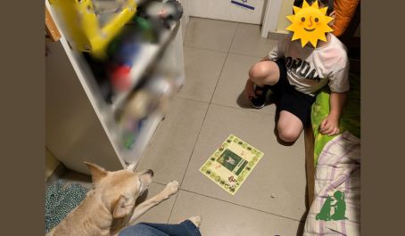 Канистерапия (כלבנות טיפולית) в бомбоубежище