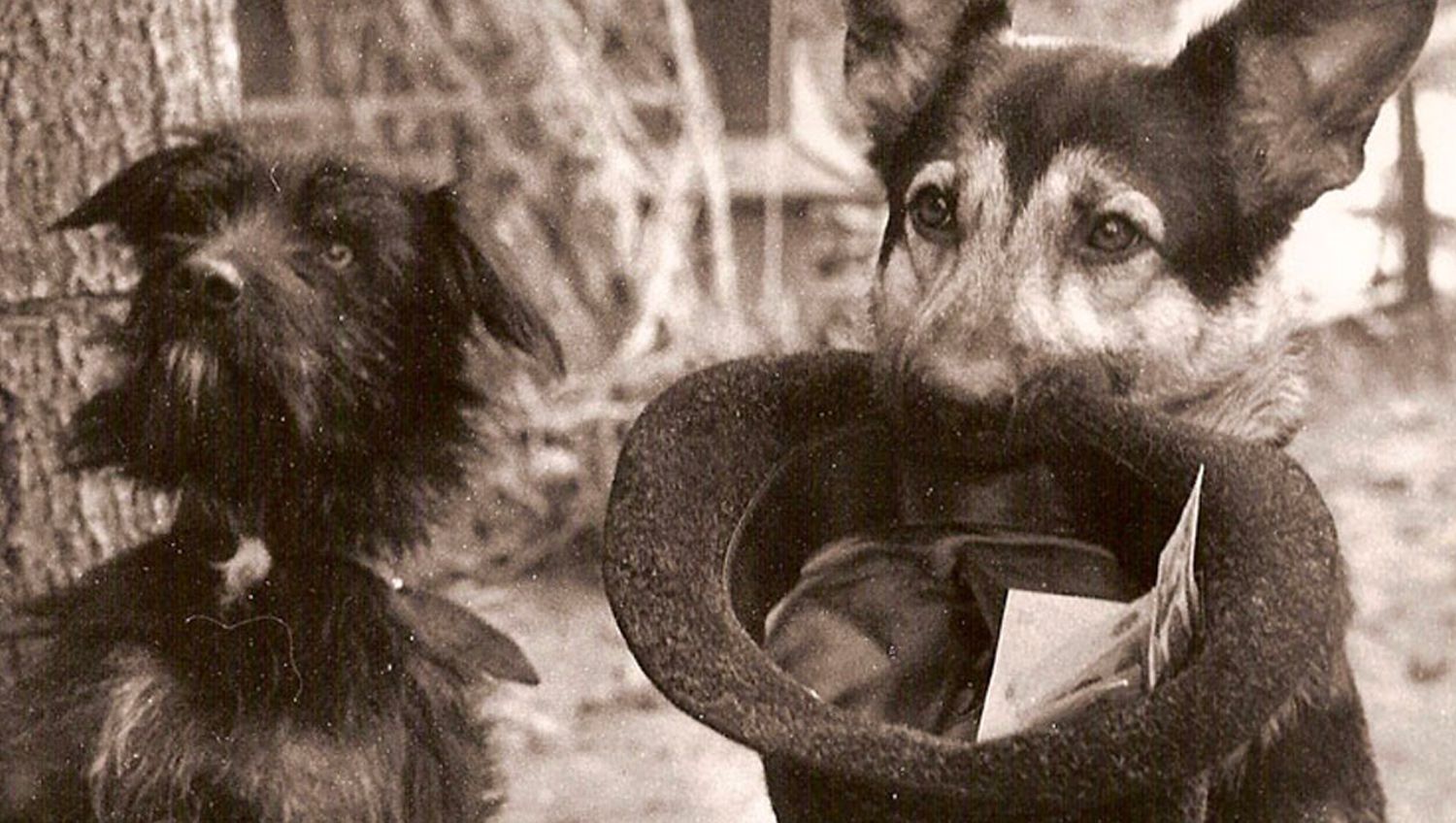 Услуги и цены школы Джильда