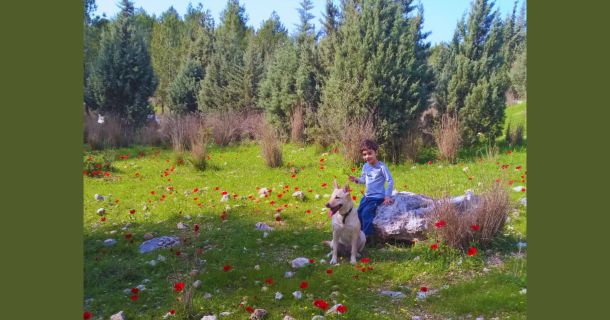 Нужно ли детям расти с питомцами?