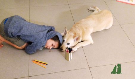 Что важно знать ребенку о собаке или кошке