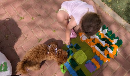 Дрессировка терапевтической собаки