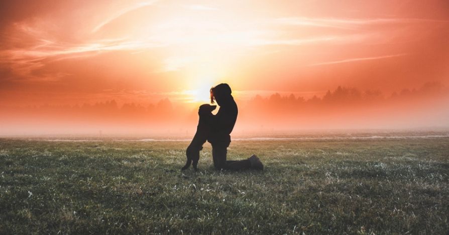 Кто должен дрессировать?