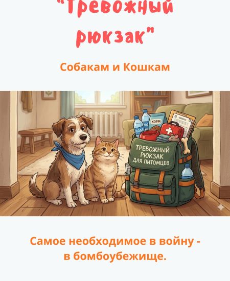Гайд «Тревожный рюкзак»