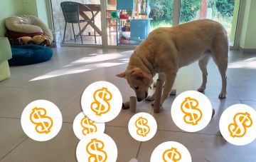 Как оплатить ваш продукт на этом сайте?