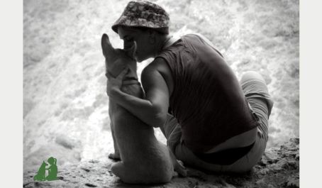 Собака обучена командам, но проблемы поведения остались