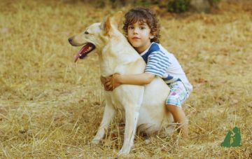 Как избежать укуса животного, часть 2: "обнимашки-целовашки"