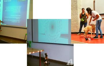 Лекции на курсе канистерапии - כלבנות טיפולית