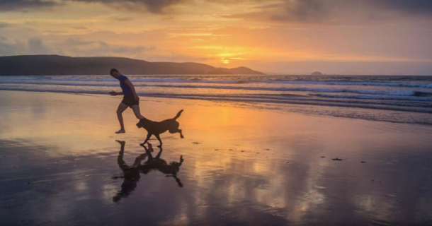 Влияние животных на жизнь человека