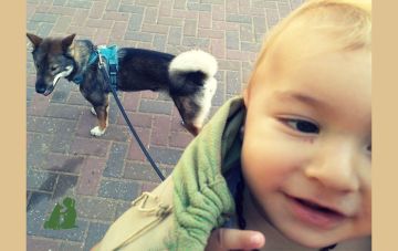 Как совместить выгул собаки и ребенка