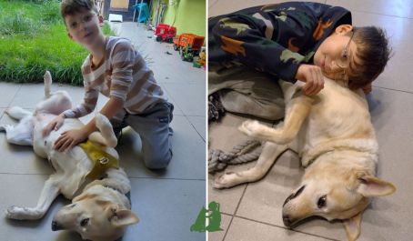 Реальные истории: боязнь животных у Лёвы, заключение