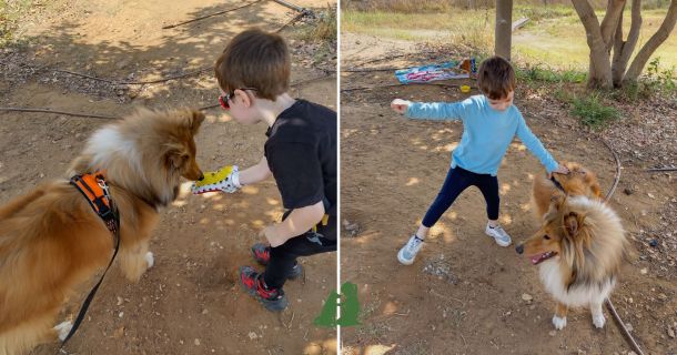 Реальные истории: страх животных у детей. Часть 2