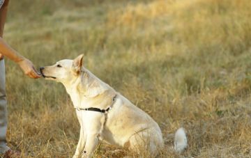 Как проходит занятие с инструктором?