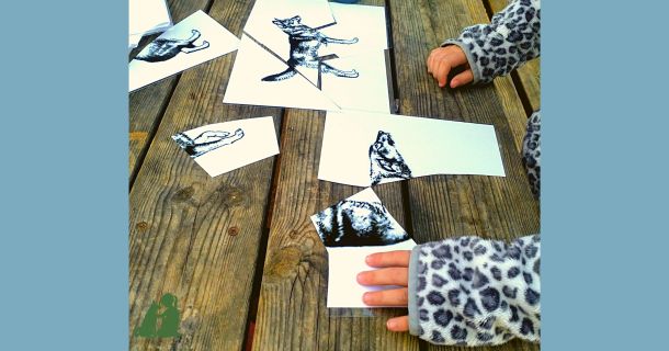 Канистерапия: реальные истории. Страх собак, 3 урок