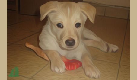 Общее у детей и собак - "обмен"