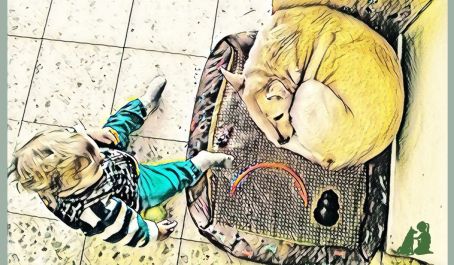 Общее у детей и собак - "опережение"