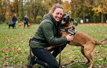 Эмоции в дрессировке: действительно так важно?