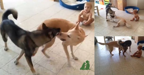 Как занять малыша и успеть сделать дела по дому