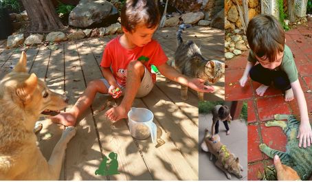 Ребенок боится собак, кошек