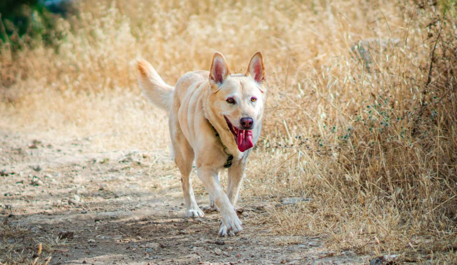 Наши услуги