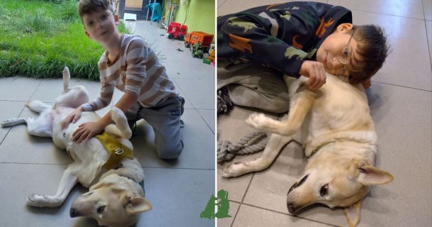 Реальные истории: боязнь животных у Лёвы, заключение