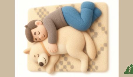 Эфир по канистерапии