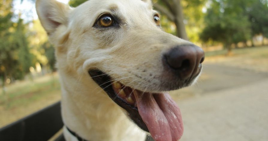 Обновления сайта