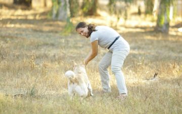 Результат дрессировки: что в итоге?