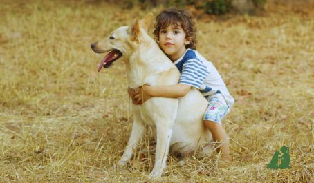 Как избежать укуса животного, часть 2: "обнимашки-целовашки"