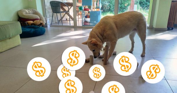 Как оплатить ваш продукт на этом сайте?